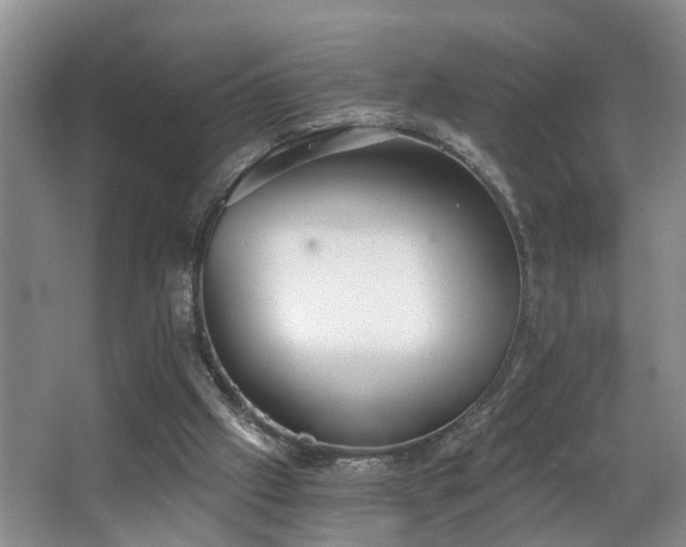 X0000068310057200604241414