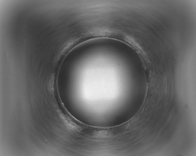 X0000068310058200604241414