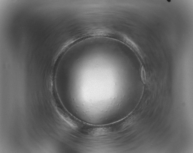 X0000068310059200604241414