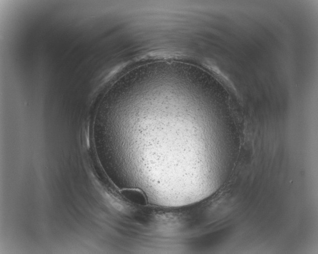 X0000068310062200604241414