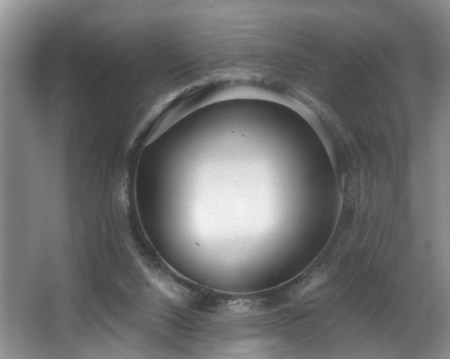 X0000068310064200604241414