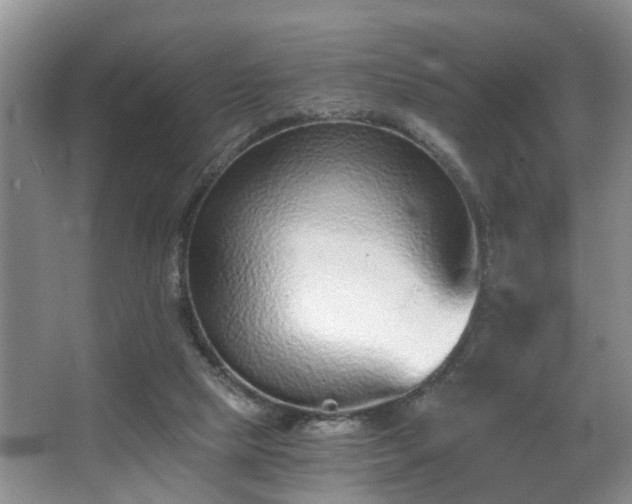 X0000068310065200604241414