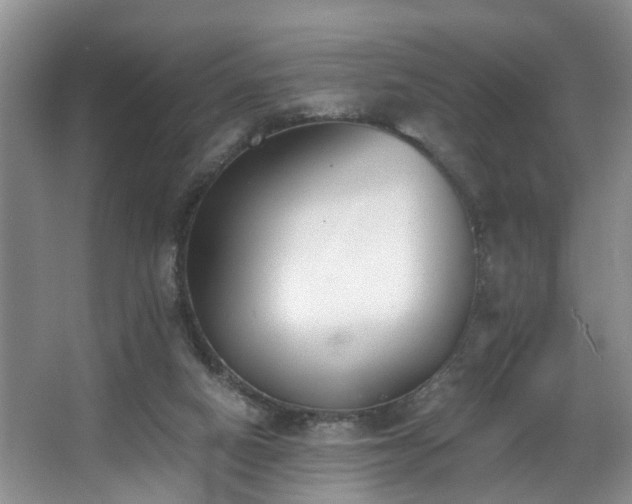 X0000068310066200604241414