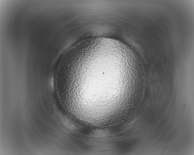 X0000068310067200604241414