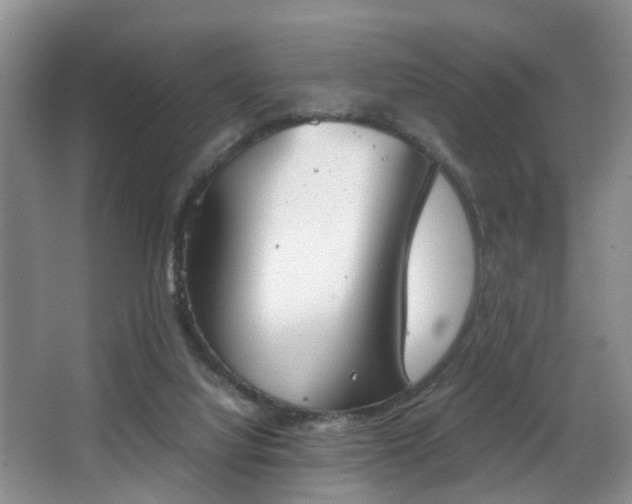 X0000068310068200604241414