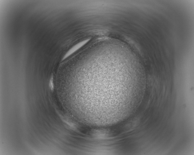 X0000068310069200604241414