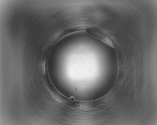 X0000068310070200604241414