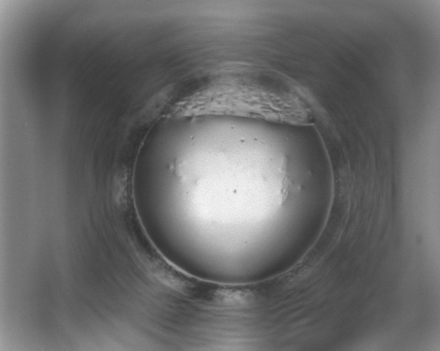 X0000068310073200604241414