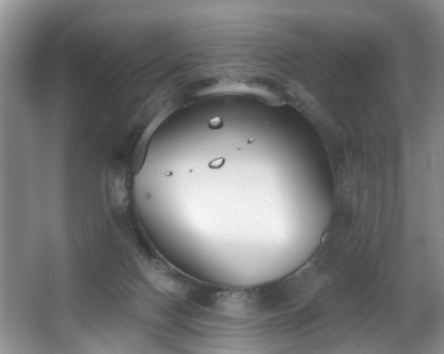 X0000068310074200604241414