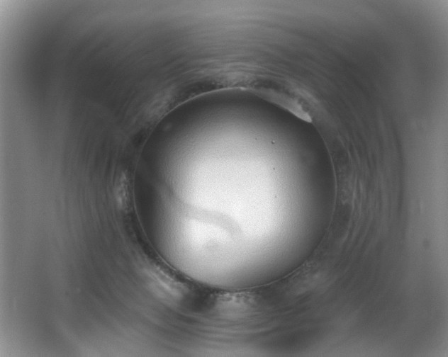 X0000068310077200604241414