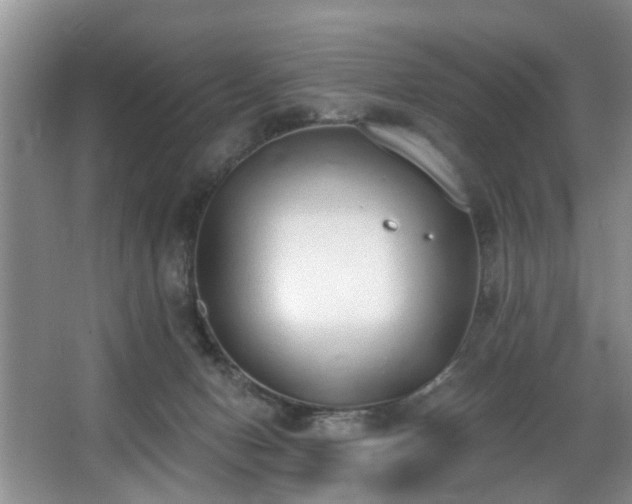 X0000068310078200604241414