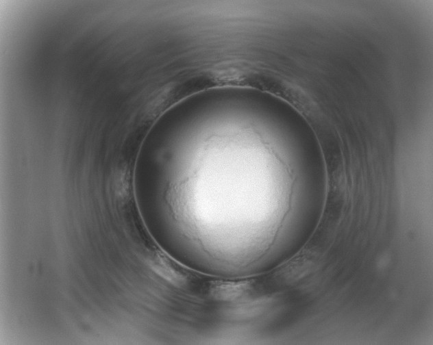 X0000068310081200604241414