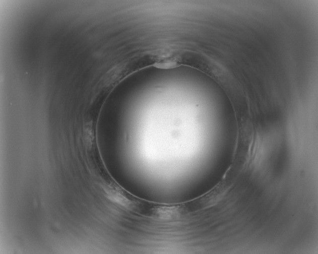 X0000068310085200604241414