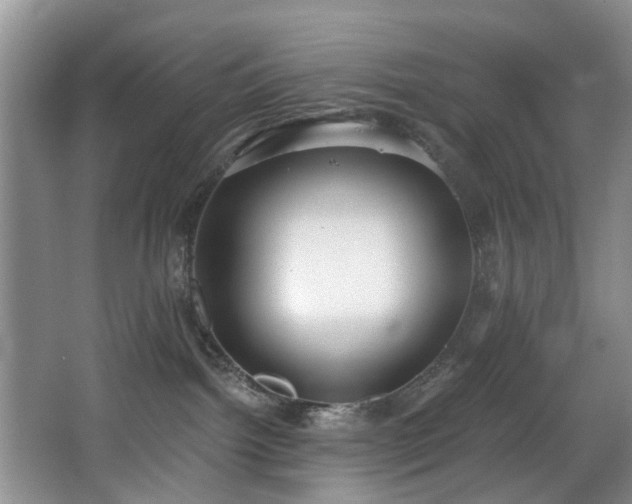 X0000068310092200604241414