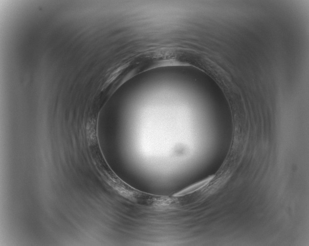 X0000068310096200604241414