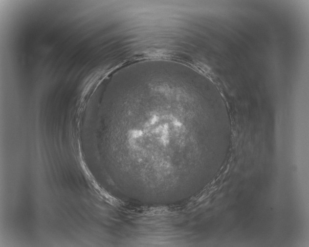 X0000068310097200604241413