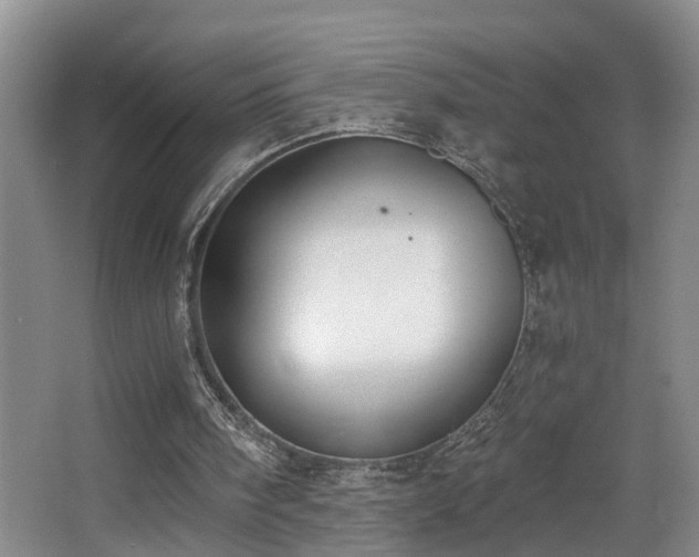 X0000068310098200604241413