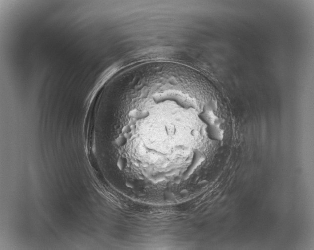 X0000068310099200604241413