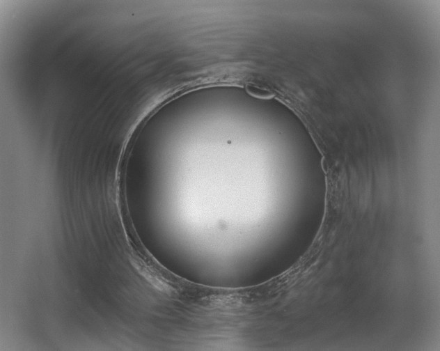 X0000068310100200604241413