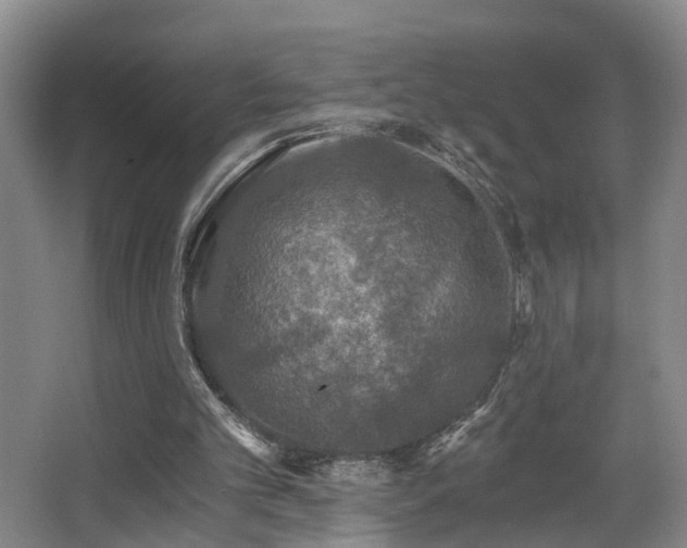 X0000068310101200604241413