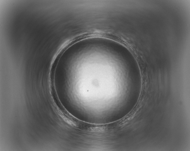 X0000068310102200604241413