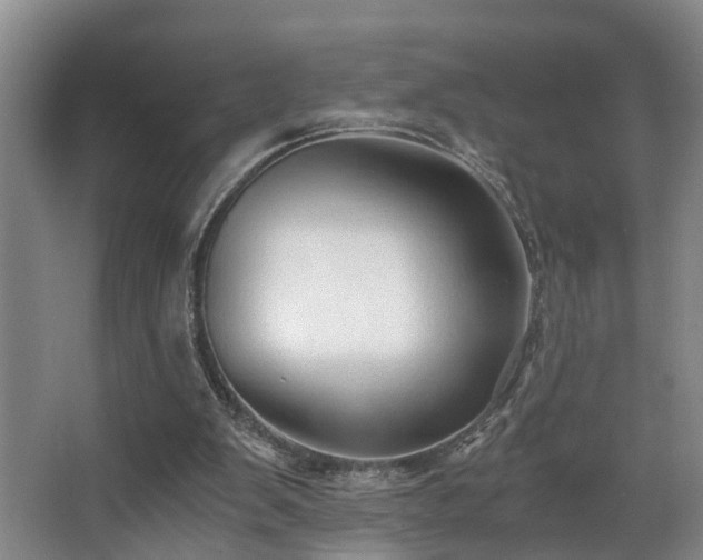 X0000068310103200604241413