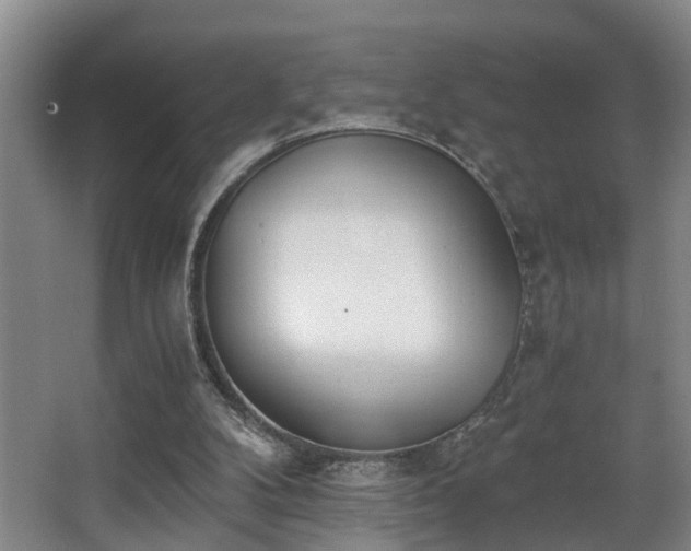 X0000068310104200604241413