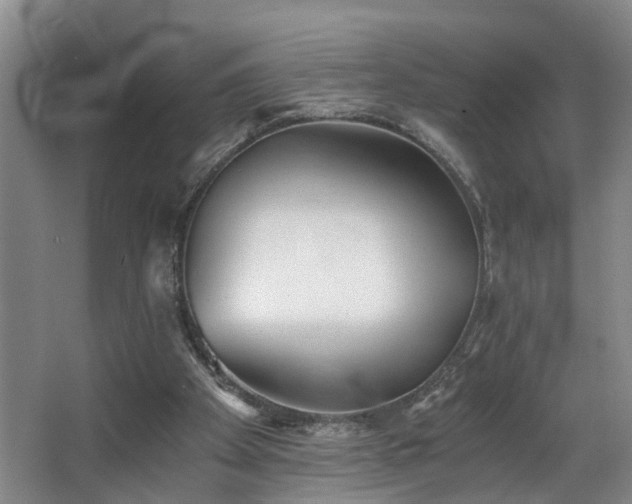 X0000068310105200604241413