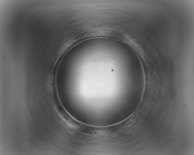 X0000068310107200604241413