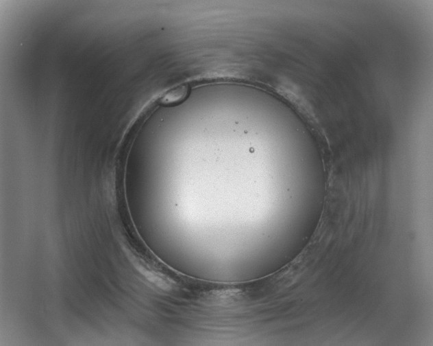 X0000068310108200604241413