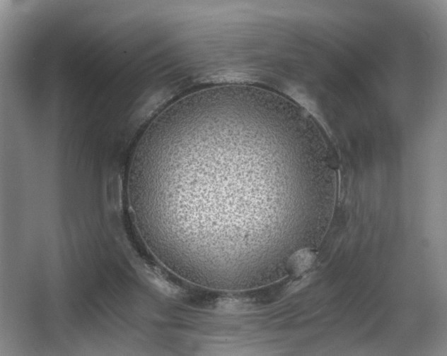 X0000068310109200604241413