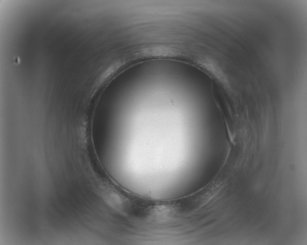 X0000068310111200604241413