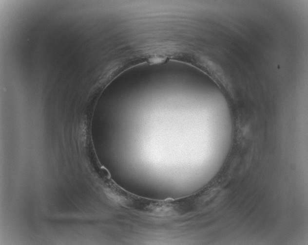 X0000068310113200604241413