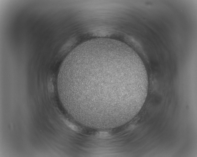 X0000068310114200604241413