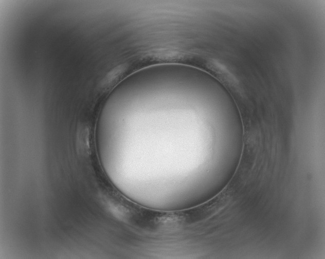 X0000068310115200604241413