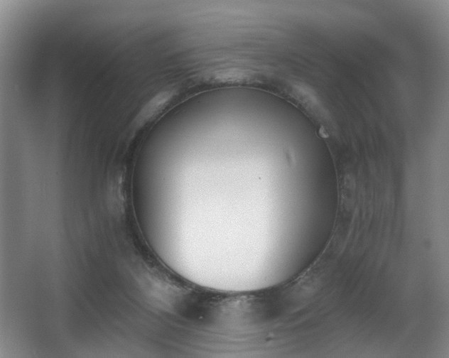 X0000068310116200604241413