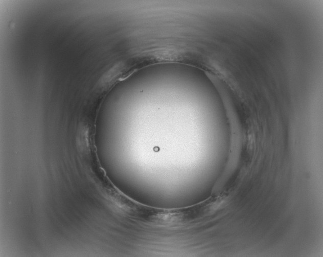 X0000068310117200604241413