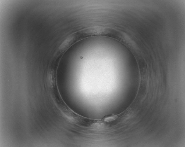 X0000068310119200604241413