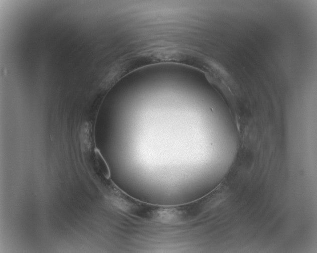 X0000068310121200604241413