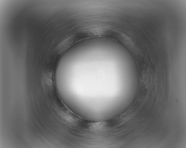 X0000068310122200604241413