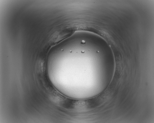 X0000068310123200604241413