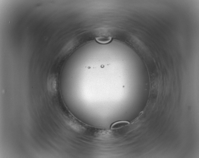 X0000068310124200604241413