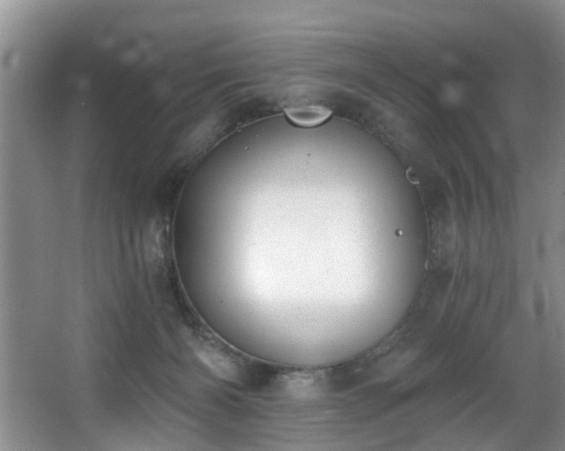 X0000068310126200604241413