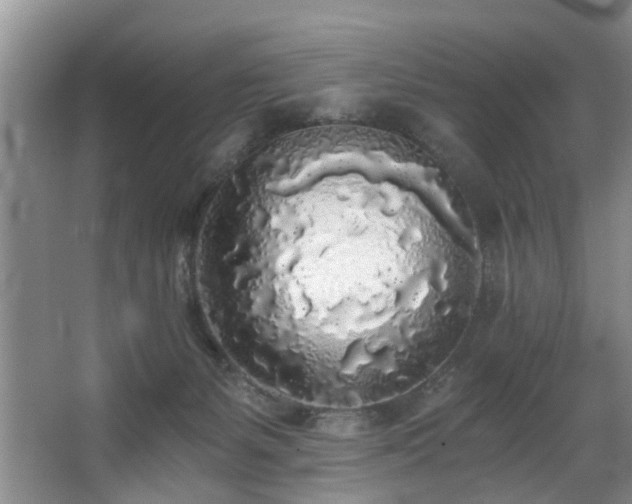 X0000068310127200604241413