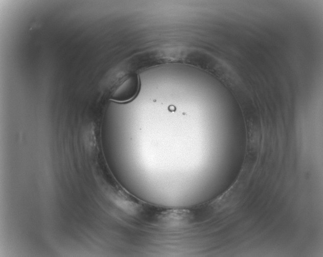 X0000068310128200604241413