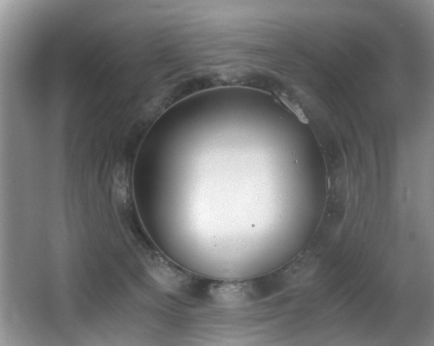 X0000068310129200604241413