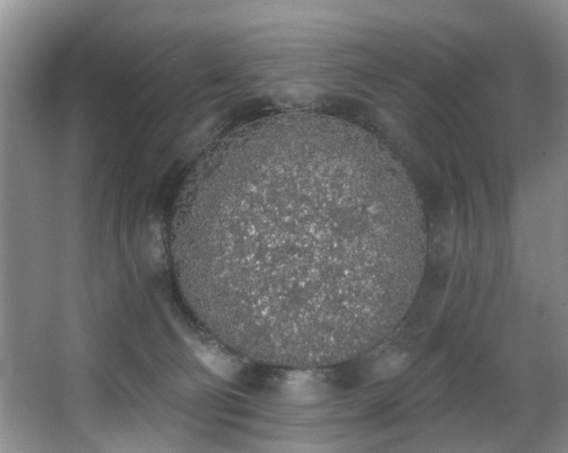 X0000068310130200604241413