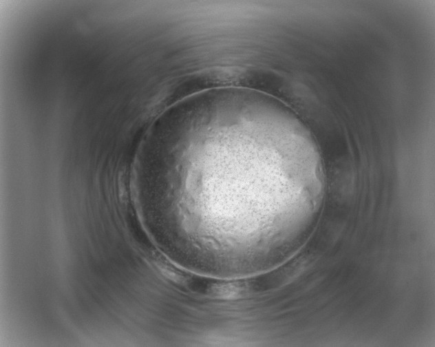 X0000068310131200604241413