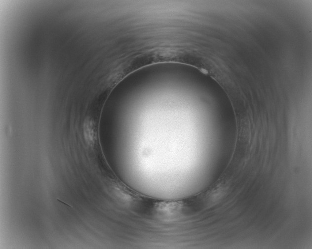 X0000068310135200604241413