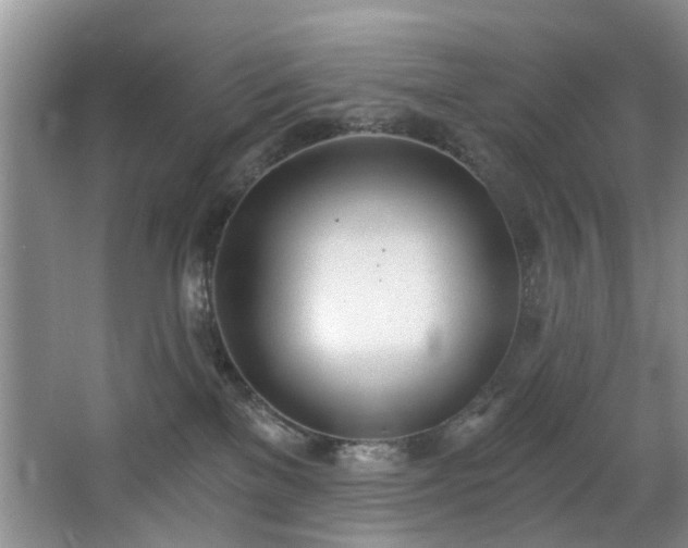 X0000068310137200604241413